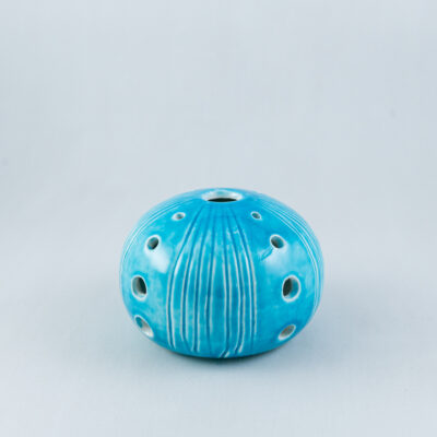 Sea urchin AX-301