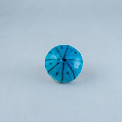 Sea urchin AX-401