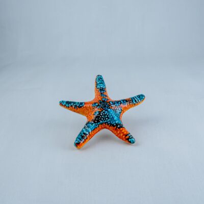 Starfish SH-605