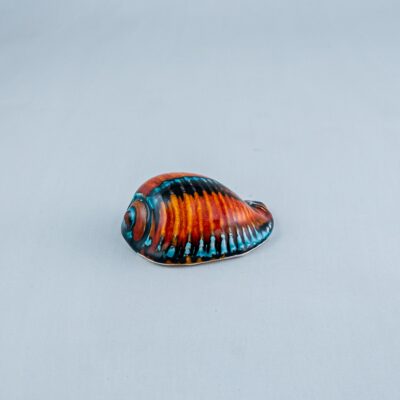 Nautilus SH-204