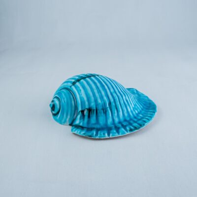 Nautilus SH-301